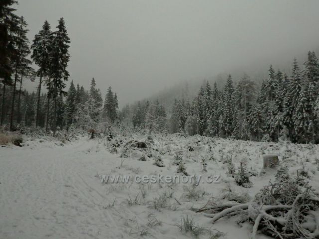 cesta z Dolní Moravy na Kralický sněžník