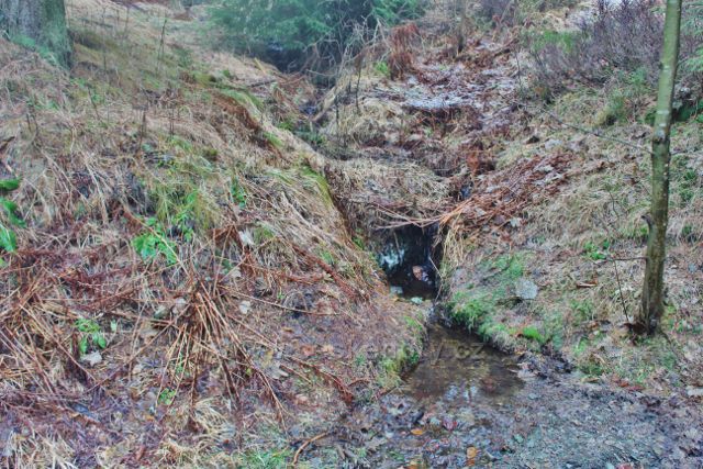 Sedloňov - jeden z přítoků Bělé křižující hřebenovku před Polomským sedlem