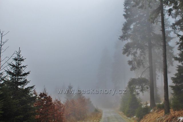 Sedloňov - hřebenovka k Polomskému sedlu