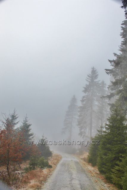 Sedloňov - hřebenovka k Polomskému sedlu