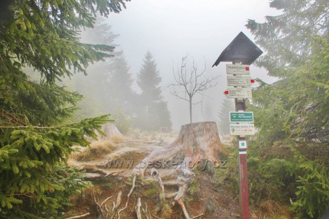 Sedloňov - turistický rozcestník "Polomské sedlo 1010 m.n.m. "