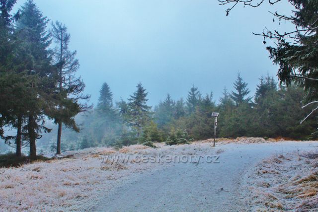 Sedloňov - hřebenovka na vrcholu Polomského kopce