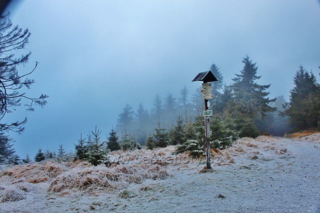 Sedloňov - výhledové místo na vrcholu Polomského kopce