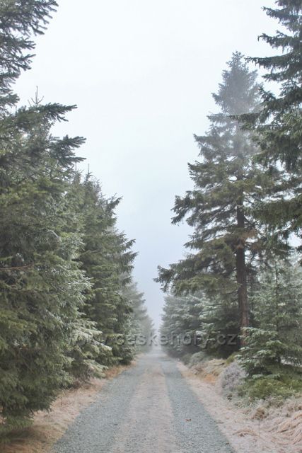 Sedloňov - hřebenovka z Polomského kopce k Vrchmezí