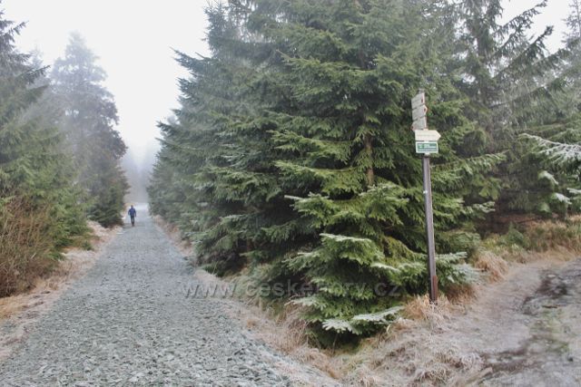 Sedloňov - odbočka z hřebenovky k prameništi řeky Bělé