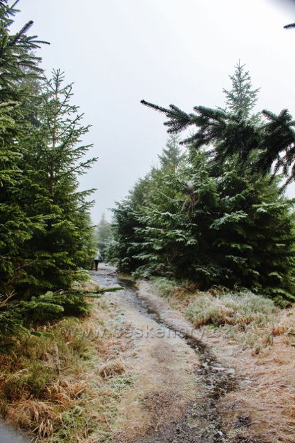 Sedloňov - stezka k prameništi řeky Bělé