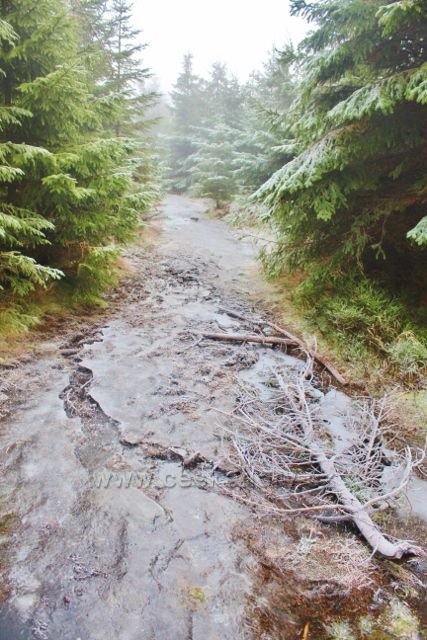 Sedloňov - stezka k prameništi řeky Bělé