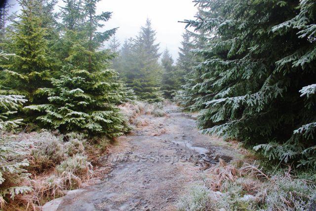 Sedloňov - stezka k prameništi řeky Bělé