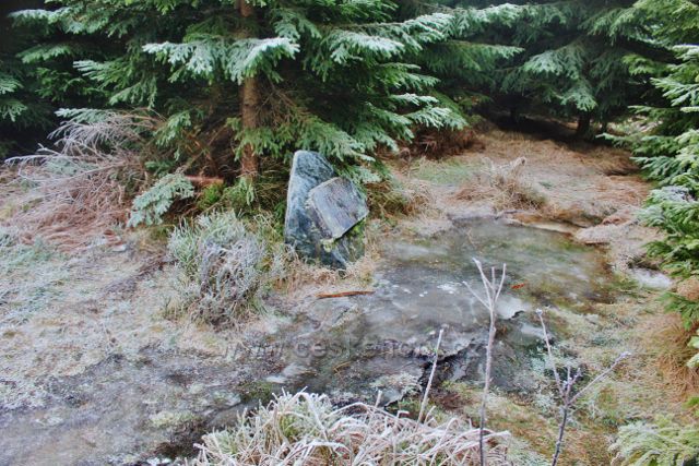 Sedloňov - prameniště řeky Bělé