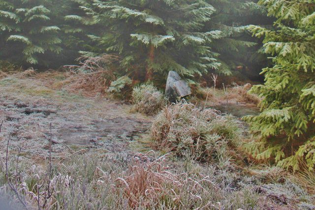 Sedloňov - prameniště řeky Bělé