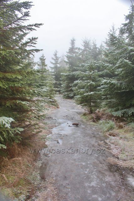 Sedloňov - zledovatělá stezka k prameništi řeky Bělé