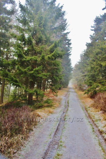 Sedloňov - Jiráskova cesta před vrcholem Vrchmezí