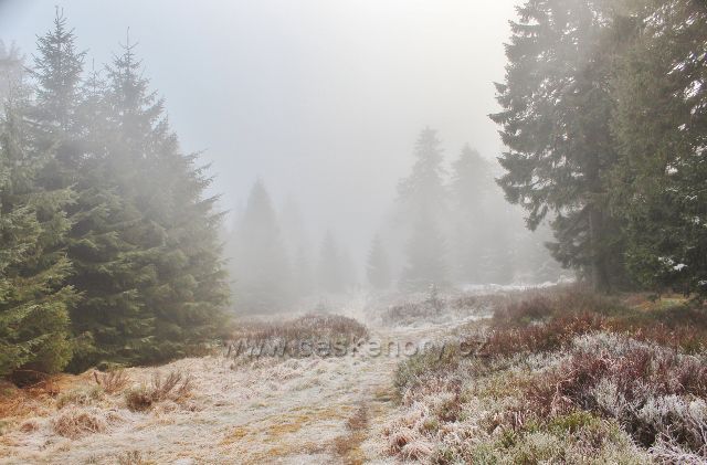 Olešnice v O.h. - neznačená stezka po  Česko-polské státní hranici