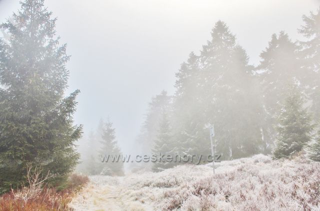 Sedloňov - neznačená stezka po Česko-polské státní hranici