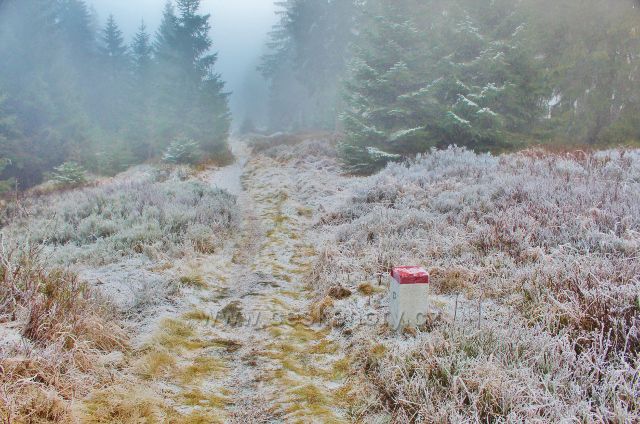Sedloňov - neznačená stezka po Česko-polské státní hranici
