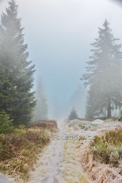 Sedloňov - neznačená stezka po Česko-polské státní hranici