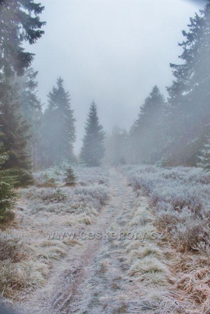 Sedloňov - neznačená stezka po Česko-polské státní hranici
