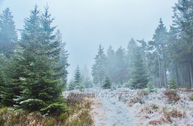 Sedloňov - neznačená stezka po Česko-polské státní hranici