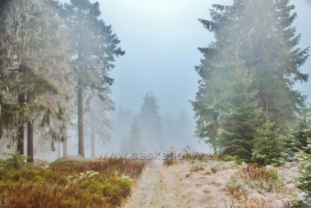 Sedloňov - neznačená stezka po Česko-polské státní hranici