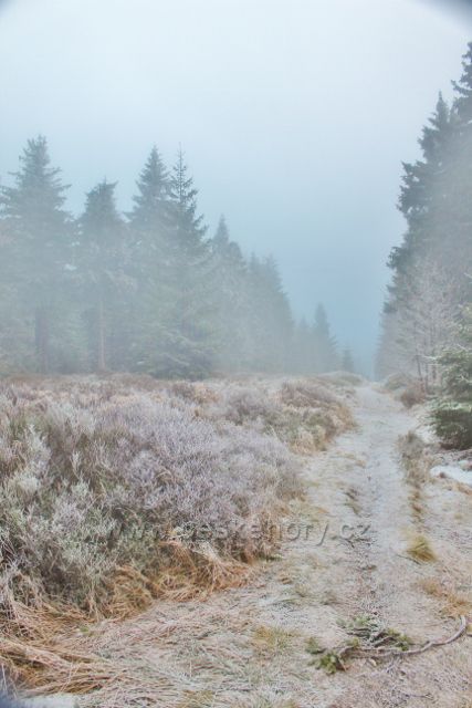 Sedloňov - neznačená stezka po Česko-polské státní hranici