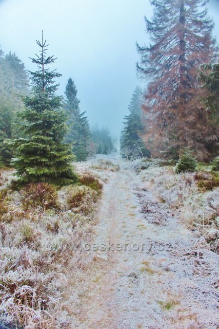 Sedloňov - neznačená stezka po Česko-polské státní hranici