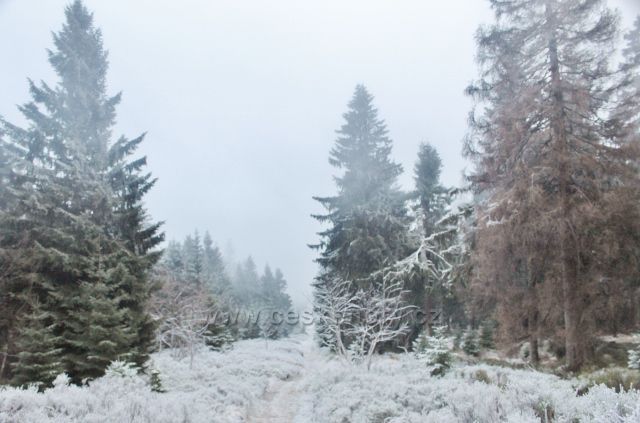 Sedloňov - neznačená stezka po Česko-polské státní hranici