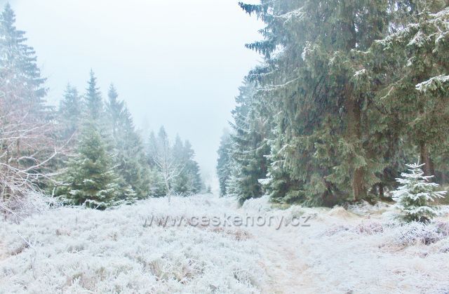 Sedloňov - neznačená stezka po Česko-polské státní hranici