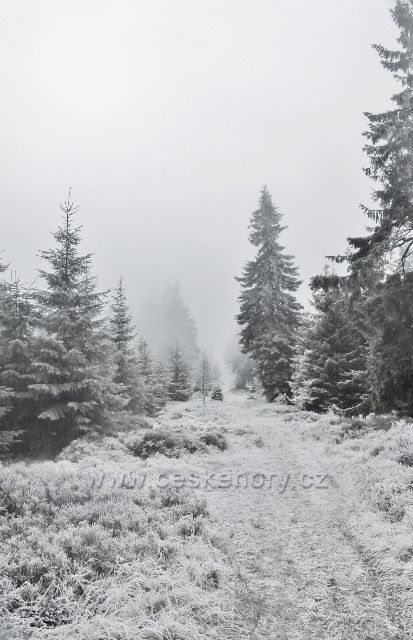 Sedloňov - neznačená hraniční stezka z Vrchmezí do Šerlišského sedla