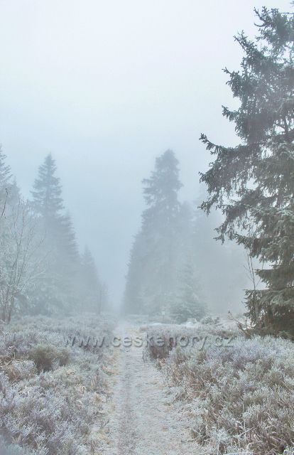Sedloňov - hraniční stezka z Vrchmezí do Šerlišského sedla