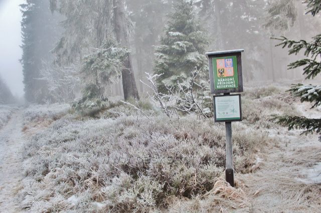 Sedloňov - hraniční stezka  z Vrchmezí do Šerlišského sedla  ve své střední části tvoří současně spodní hranici NPR Bukačka
