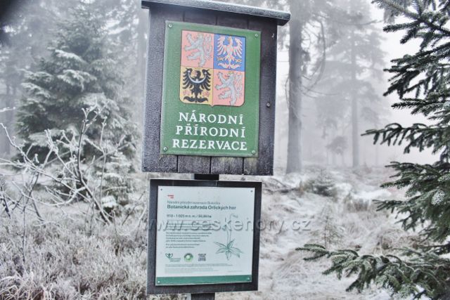 Sedloňov - označení NPR Bukačka na hranici s Polskem