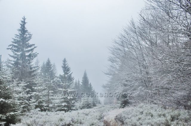 Sedloňov - hraniční stezka tvoří současně spodní hranici NPR Bukačka