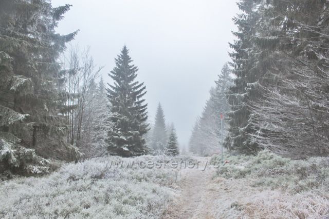 Sedloňov - hraniční stezka tvoří spodní hranici NPR Bukačka