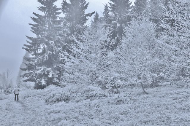 Sedloňov - okraj NPR Bukačka