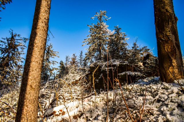 cestou Nad Kršlí 1002m