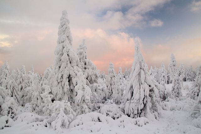 Na vrcholu Klínovce
