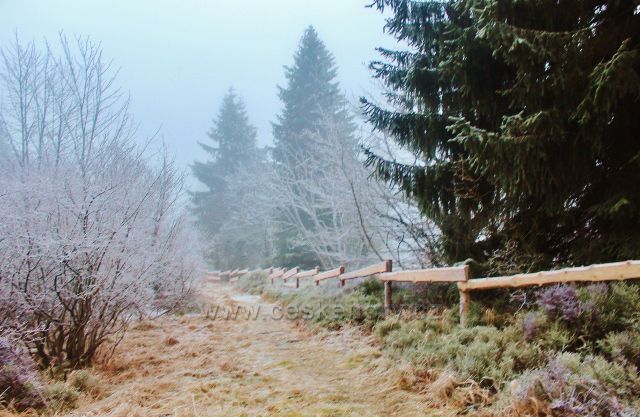 Sedloňov - hraniční stezka podél luční enklávy NPR Bukačka