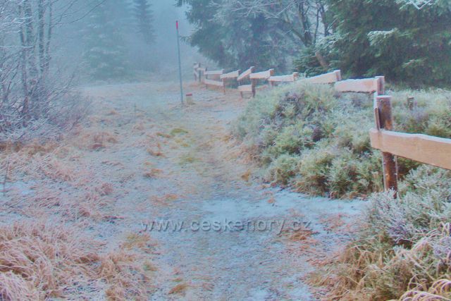 Sedloňov - hraniční stezka podél NPR Bukačka