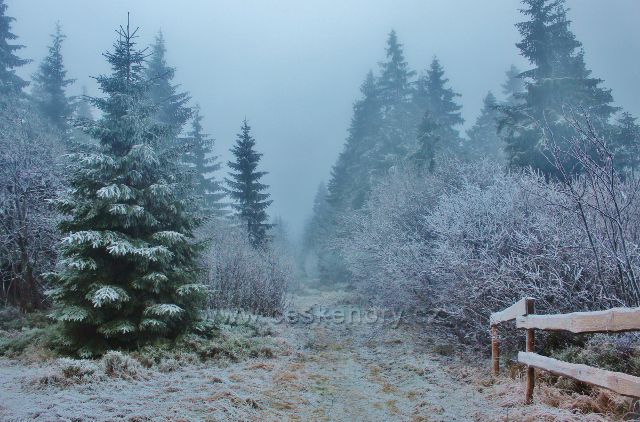 Sedloňov - hraniční stezka podél NPR Bukačka