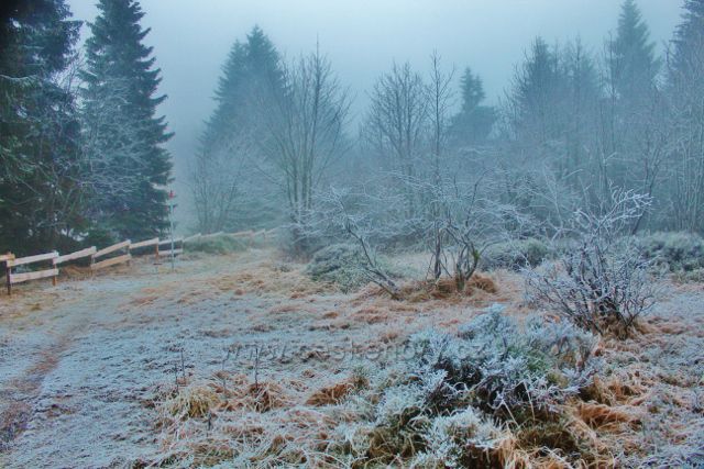 Sedloňov - hraniční stezka podél NPR Bukačka