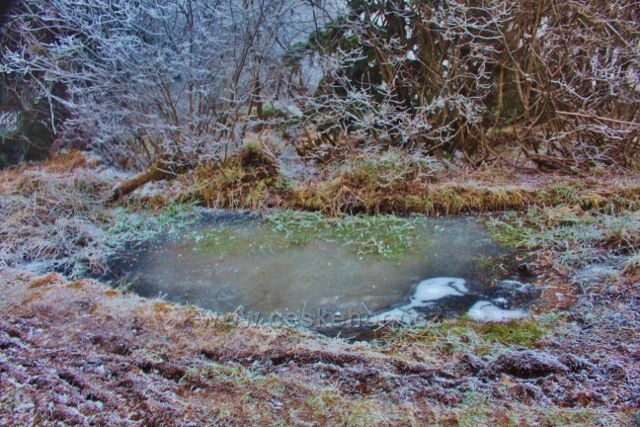 Sedloňov - mokřad na hraniční stezce u NPR Bukačka