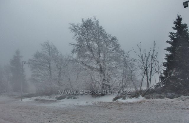 Šerlich - trasa běžecké tratě od Masarykovo chaty do Šerlišského sedla