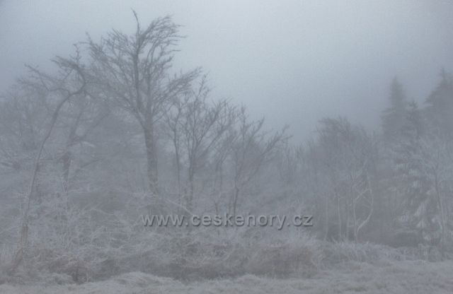 Šerlich - z běžecké tratě od Masarykovy chaty do Šerlišského sedla