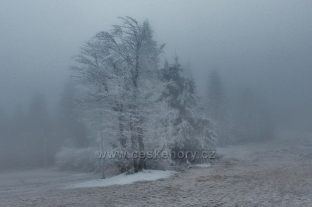 Šerlich - z běžecké tratě od Masarykovo chaty k Šerlišskému sedlu