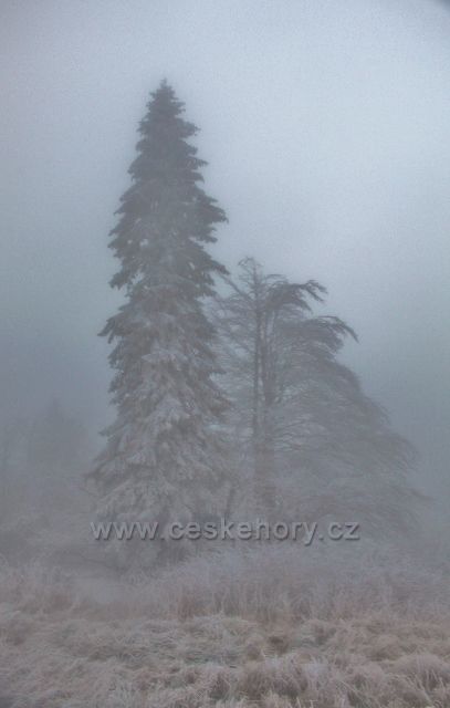 Šerlich - z běžecké tratě od Masarykovy chaty k Šerlišskému sedlu