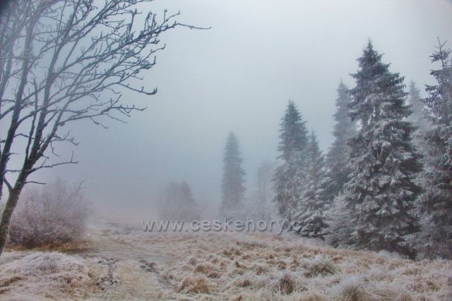 Šerlich - z běqžecké tratě od Masarykovy chaty do Šerlišského sedla