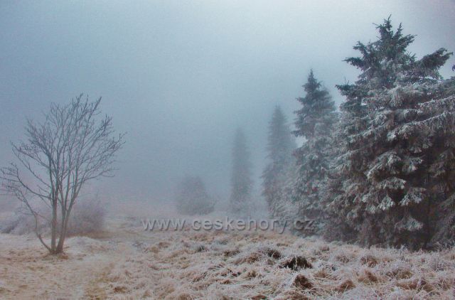 Šerlich - běžecká trasa od Masarykovy chaty do Šerlišského sedla