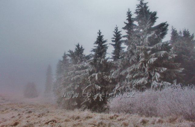 Šerlich - z běžecké tratě od Masarykovy chaty do Šerlišského sedls