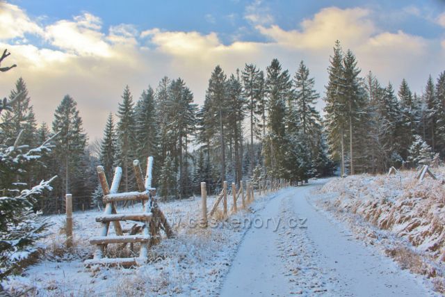 Bartošovice v O.h. -oplocenka u cesty lesním porostem k vrchu Polom