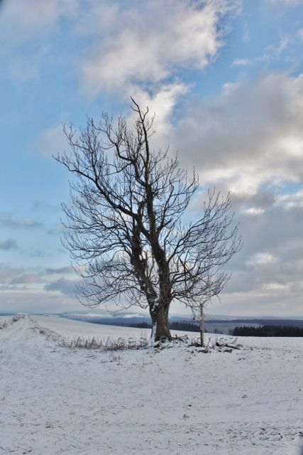 Bartošovice v O.h. - odbočka cesty do "Údolíčka" v sedýlku pod Polomem